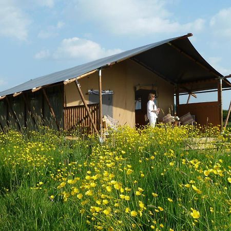 Tall Trees Glamping Baltonsborough Экстерьер фото